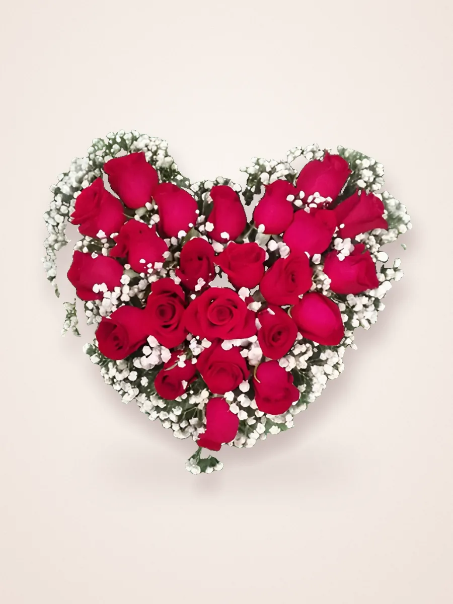 Heart of red roses with gypsophila
