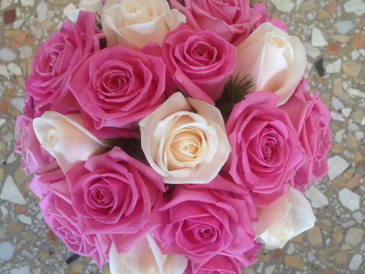 Mazzo di rose rosa e bianche visto dall'alto